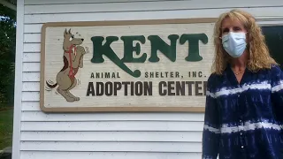 Decision 2020: WALK 97.5's Presdential Puppy Race at the Kent Animal Shelter