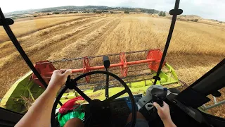 POV Drive | Harvesting Wheat | CLAAS Dominator 88 Classic