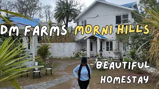 BEST FARM STAY IN MORNI HILLS (PANCHKULA)|| WEEKEND GET AWAY|| DM FARMS