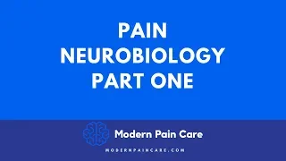 Pain Neurobiology 1