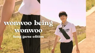 wonwoo being wonwoo | heng:garae edition