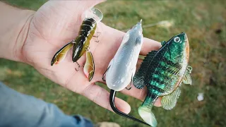 Testing Out Bargain Bin Fishing Lures/Are they any Good?