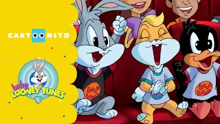 Baby Looney Tunes | The Musical Show | Cartoonito