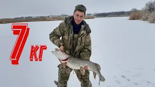 Ловля щуки и окуня на балансир, и жерлицы  Моя трофейная щука