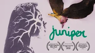 Juniper -  Experimental Short Film (Stop Motion Animation/Rotoscoping)