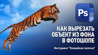 Как убрать фон в Фотошопе. Инструмент "Волшебная палочка" на неоднородном фоне. Уроки Фотошопа.