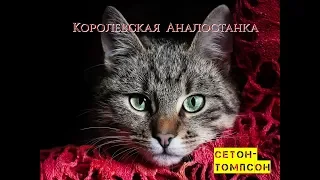 Эрнест Сетон-Томпсон "Королевская Аналостанка"