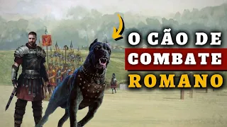 Canis Pugnax - O CÃO DE COMBATE do Soldado Romano