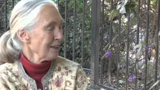 Jane Goodall visits University of Redlands