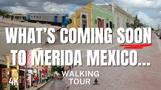 Merida Mexico's Stunning Metamorphosis: An Unforgettable Street Tour