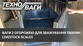 Ваги з огорожею для зважування тварин | Livestock scales