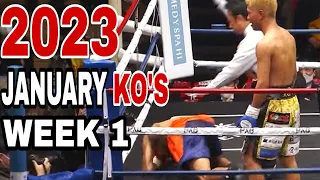 MMA & Boxing Knockouts I January 2023 Week 1