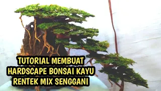 MEMBUAT HARDSCAPE BONSAI KAYU RENTEK MIX SENGGANI ‼️ #bonsai #aquascape #bonsaiaquascape #tutorial