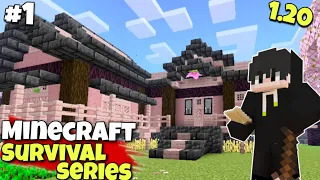 Minecraft Pe Survival Series #1 in Hindi 1.20 | Made Survival House & Iron Armor #minecraftpe