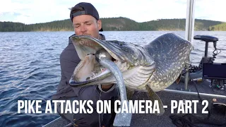 PIKE ATTACKS ON CAMERA - PART 2