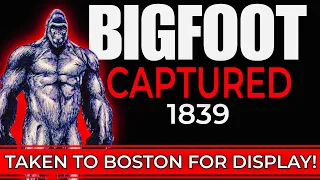 BIGFOOT CAPTURED in 1837 ?! #BigfootCaptured