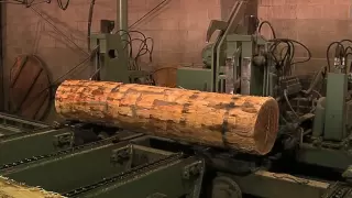 Logging and Veneer Process (no narration)