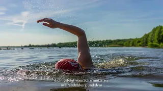 Zecken-Gefahr an deutschen Badeorten: FSME-Vorsorge wichtig!