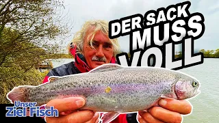 FORELLEN GETRICKST & ALLES SÄUFT AB - JÖRG OVENS im FANGMODUS am FORELLENSEE - Unser Ziel ist Fisch