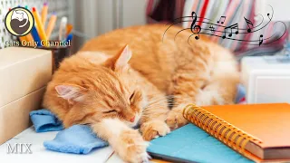 10 Hours of Music for Cats - Relaxing Harp Music with Cat Purring Sounds