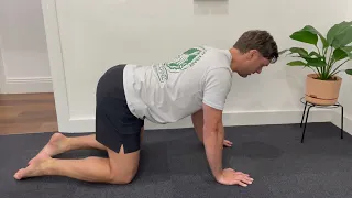 Cat-Cow Lower Back Mobility Drill