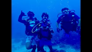 SCUBA Diving Turtle Rock Bimini Bahamas