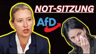 💥WEIDEL schockiert! AfD-Pressekonferenz Alice Weidel