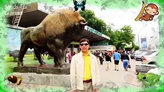 Kiev Zoo 2017 Київський Зоопарк