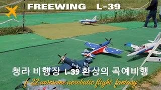 F-22 로봇랜드 비행장 곡예비행 환타스틱 F -22 awesome aerobatic flight fantasy