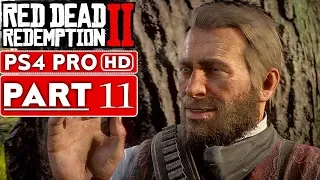 RED DEAD REDEMPTION 2 Gameplay Walkthrough Part 11 [1080p HD PS4 PRO] - No Commentary