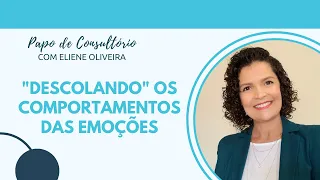 MANEJO A EMOÇÕES DESAFIADORAS X COMPORTAMENTOS DISFUNCIONAIS EM TERAPIA COGNITIVO COMPORTAMENTAL