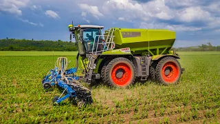 Plečkovanie kukurice 2023 | Claas Xerion 4200 Saddle Trac | Cropper 12 f