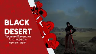 Black Desert - Пустыня Валенсии, споты, прокачка, фарм #BDO