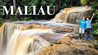 Sabah's lost world trek! Borneo's oldest rainforest, untouched by humans