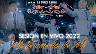 LA SUPER BANDA SEÑOR DEL ÁRBOL - MIX TE ACUERDAS DE MI (Video Oficial 4K En Vivo)