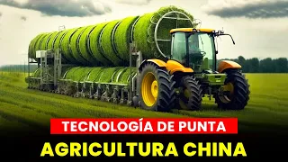¡Increíble Agricultor CHINO Revela su Impactante Técnica y Geniales Inventos!