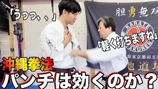 【剛腕の突き】沖縄拳法六代目師範のパンチは本当に効くのか？【山城美智先生】