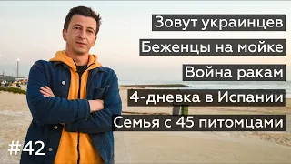 @amanhademanha42: Кошта зовет украинцев, автомойка беженцев, война ракам, 4-дневка в Испании