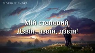🇺🇦 Ukrainian Song - "Гей, Соколи!" [English Translation] Slava Ukraini!