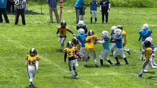 Pumitas vs Lobos BUAP Tazon de la amistad (infantil Tiny-Tot) agosto 2023