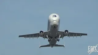 Airbus A300-600ST Beluga Take Off at Hawarden Airport