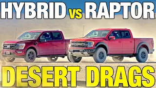 You won't believe who wins! Ford Raptor vs. F-150 Hybrid | 0-60, Horsepower, Off-Roading & More