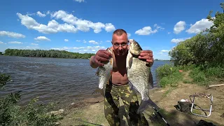 ЛЕЩ ЕСТЬ 🔥 Ока, Велорыбалка 🚲 Рязань, 07.06.2022