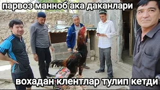 ПАРВОЗ МАННОБ АКА УЙЛАРИГА МЕХМОНЛАР КЕЛДИ/ ПАРВОЗЛАР УЧУН ЯНГИ ВИДЕО