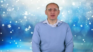 Торсунов О.Г. - поздравление с Новым 2017 Годом! (30.12.2016)