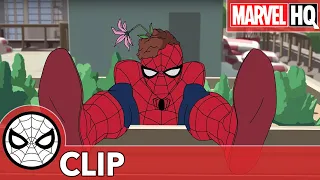 Marvel Homem-Aranha | Espiadinha