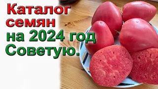 Лучшие 20 сортов томатов из 120 проверенных. Каталог на 2024г