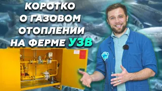 Как ПРАВИЛЬНО ОРГАНИЗОВАТЬ газовое ОТОПЛЕНИЕ на ферме УЗВ