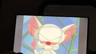 Pinky And The Brain Theme Song 1993 WITH CAPTIONS