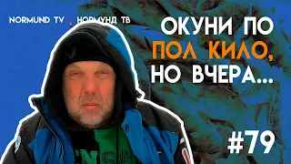 окуни по пол кило....были вчера, а сегодня ...всё как всегда, отчёт Но79